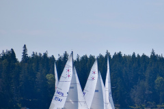 DSC_0299