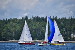 DSC_0465